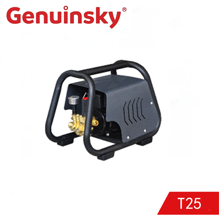 T25 hogedrukreiniger
